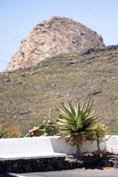 El Retamar, Naturaleza Y Paisajes サンティアゴ・デル・テイデ エクステリア 写真